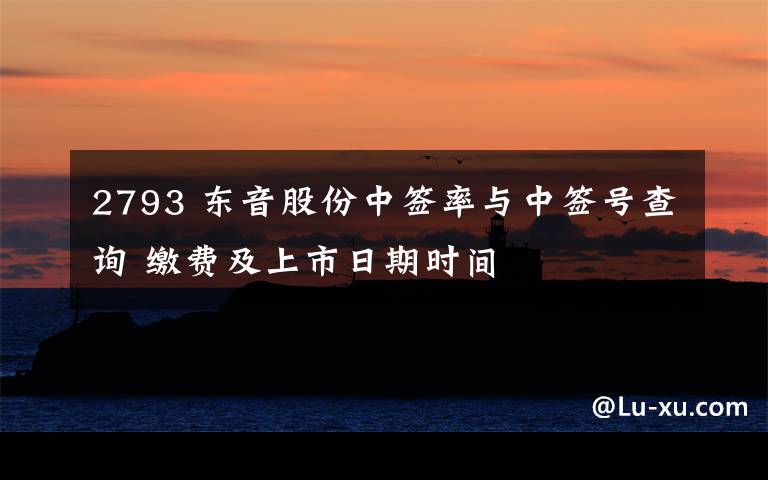 2793 东音股份中签率与中签号查询 缴费及上市日期时间