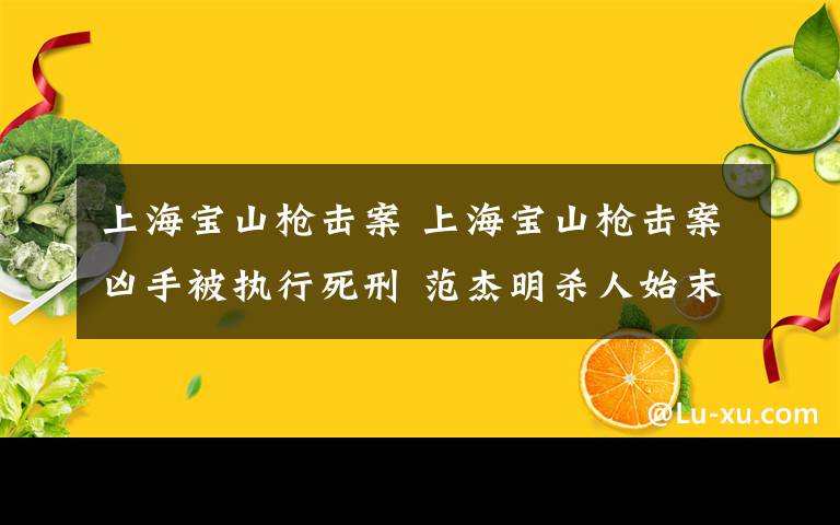 上海宝山枪击案 上海宝山枪击案凶手被执行死刑 范杰明杀人始末