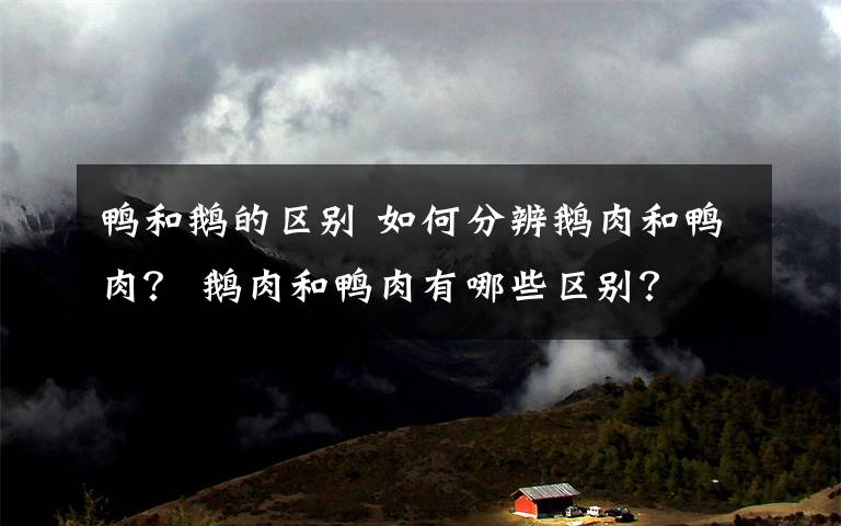 鸭和鹅的区别 如何分辨鹅肉和鸭肉？ 鹅肉和鸭肉有哪些区别？