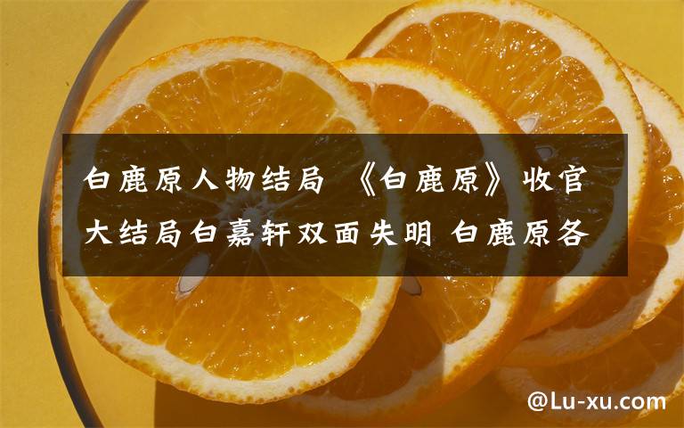 白鹿原人物结局 《白鹿原》收官大结局白嘉轩双面失明 白鹿原各人物结局及全集剧情