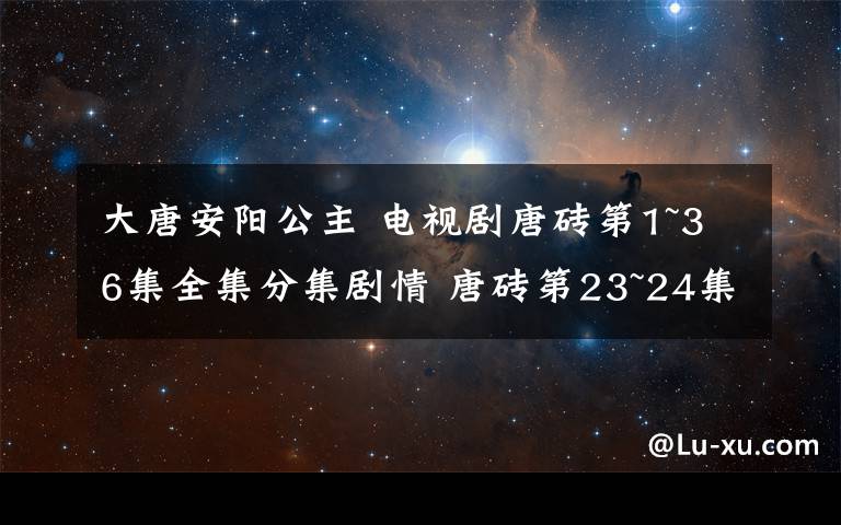 大唐安阳公主 电视剧唐砖第1~36集全集分集剧情 唐砖第23~24集剧情预告