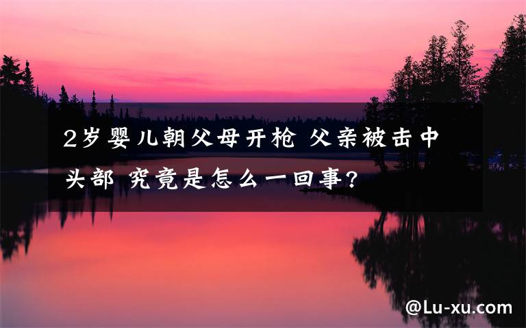 2岁婴儿朝父母开枪 父亲被击中头部 究竟是怎么一回事?