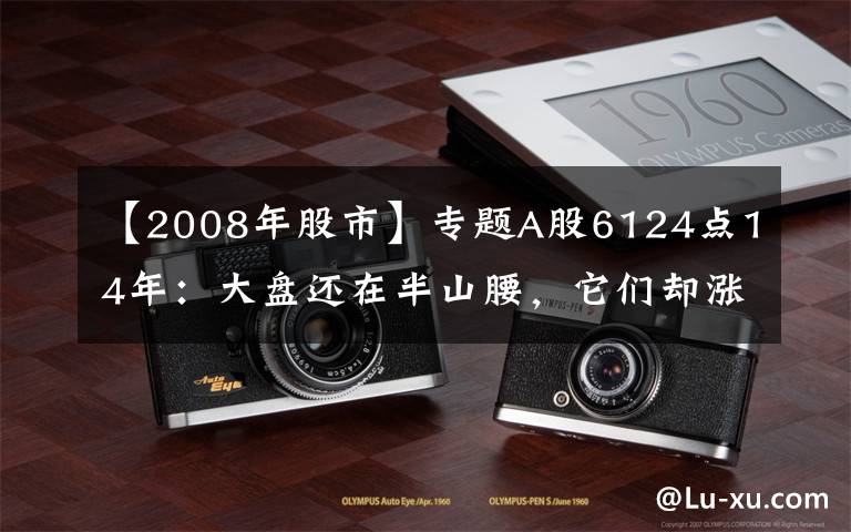 【2008年股市】专题A股6124点14年：大盘还在半山腰，它们却涨势惊人