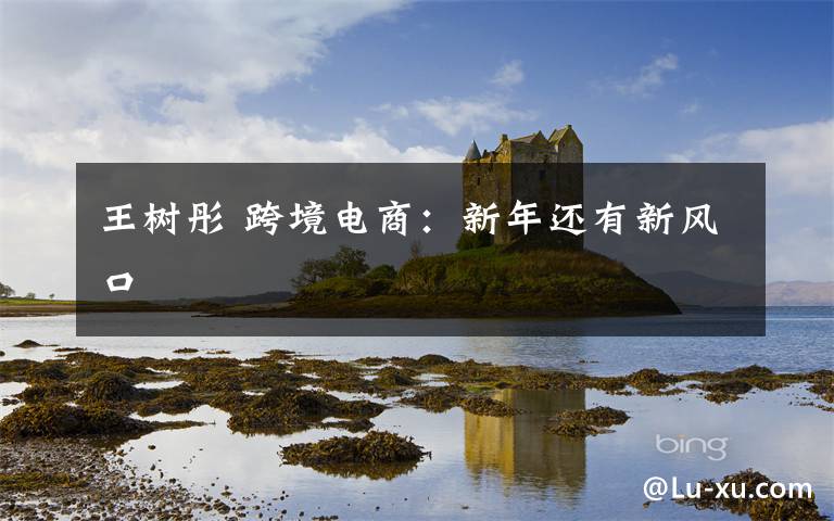 王树彤 跨境电商：新年还有新风口