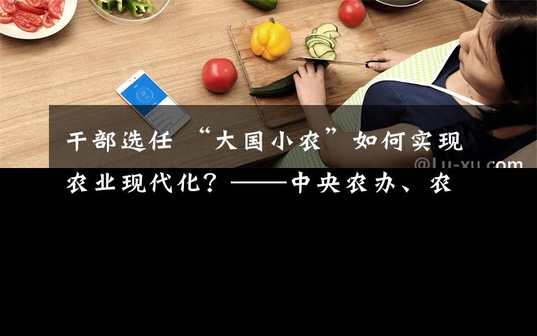 干部选任 “大国小农”如何实现农业现代化？——中央农办、农业农村部有关负责人解读中办、国办《关于促进小农户和现代农业发展有机衔接的意见》