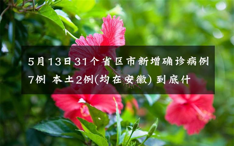 5月13日31个省区市新增确诊病例7例 本土2例(均在安徽) 到底什么情况呢？