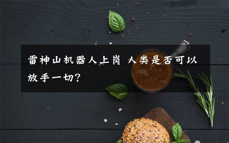 雷神山机器人上岗 人类是否可以放手一切？