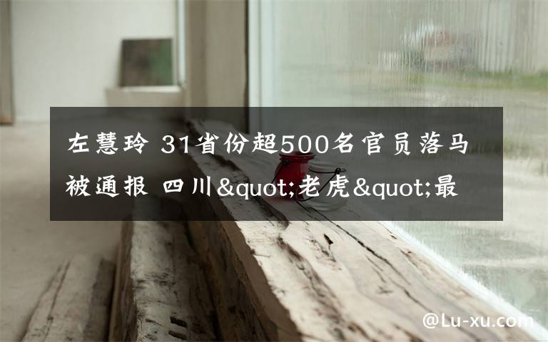 左慧玲 31省份超500名官员落马被通报 四川"老虎"最多