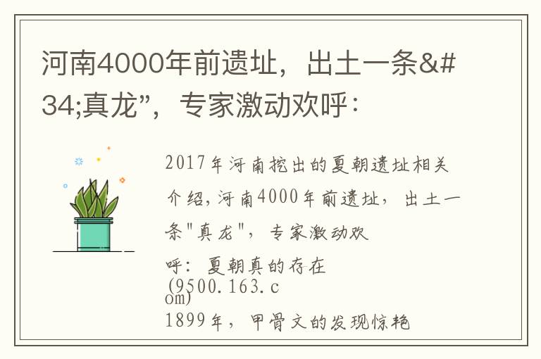 河南4000年前遗址，出土一条"真龙"，专家激动欢呼：夏朝真的存在