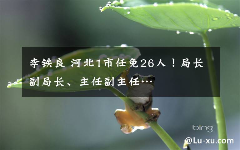 李铁良 河北1市任免26人！局长副局长、主任副主任…