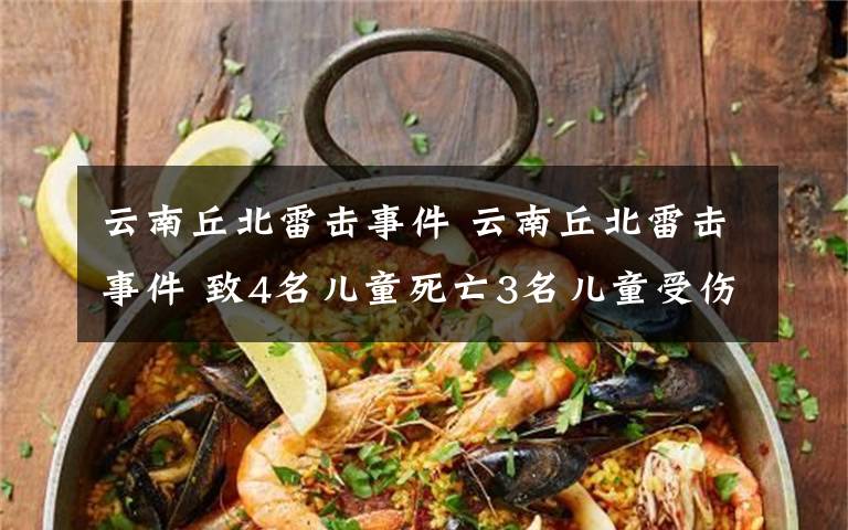 云南丘北雷击事件 云南丘北雷击事件 致4名儿童死亡3名儿童受伤