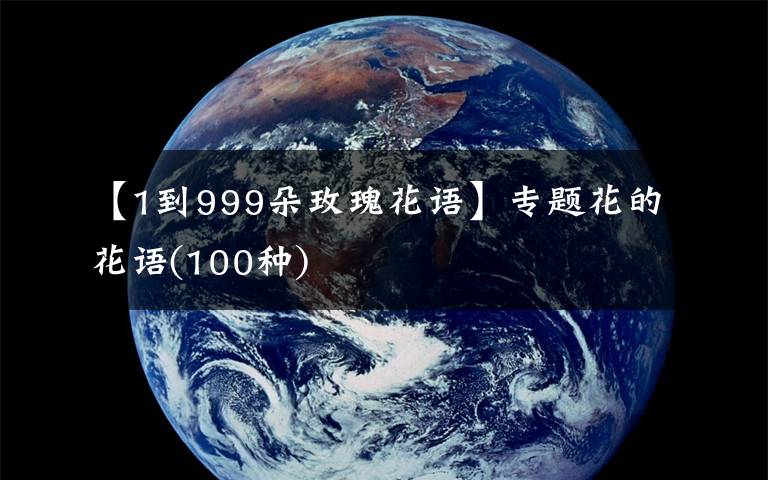 【1到999朵玫瑰花语】专题花的花语(100种)