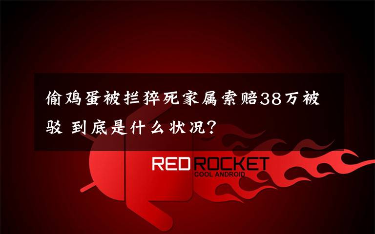 偷鸡蛋被拦猝死家属索赔38万被驳 到底是什么状况？