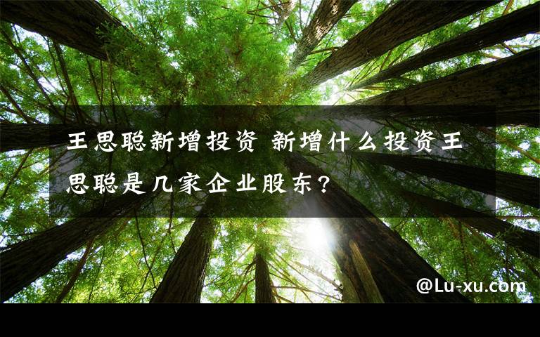 王思聪新增投资 新增什么投资王思聪是几家企业股东?