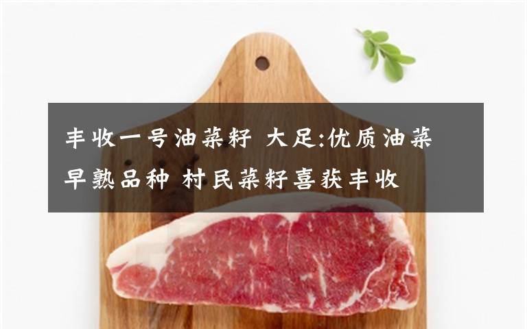 丰收一号油菜籽 大足:优质油菜早熟品种 村民菜籽喜获丰收