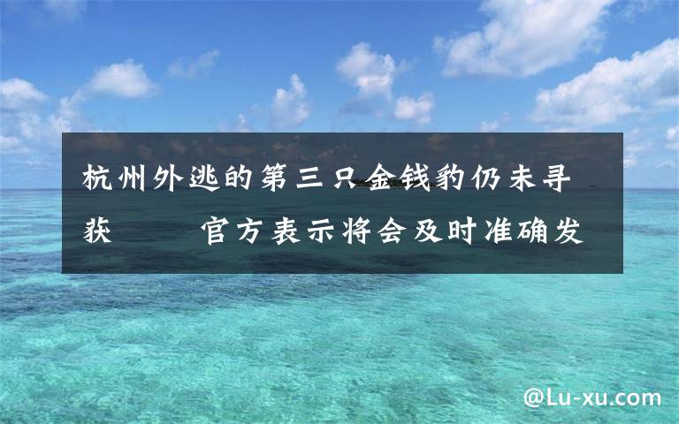 杭州外逃的第三只金钱豹仍未寻获   官方表示将会及时准确发布工作进展情况 对此大家怎么看？