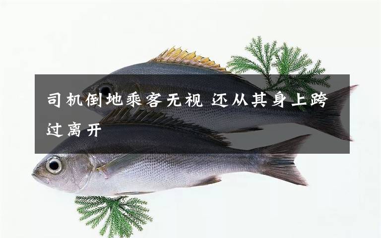 司机倒地乘客无视 还从其身上跨过离开