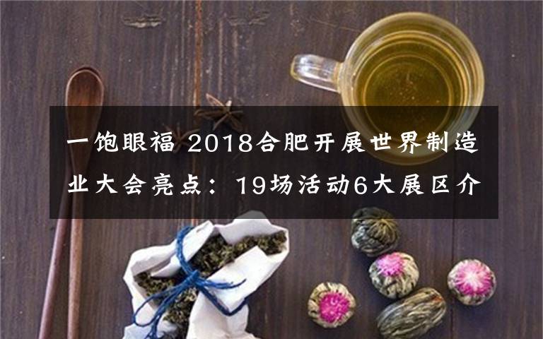 一饱眼福 2018合肥开展世界制造业大会亮点：19场活动6大展区介绍