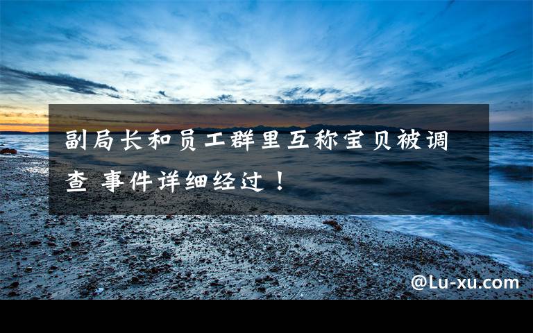 副局长和员工群里互称宝贝被调查 事件详细经过！