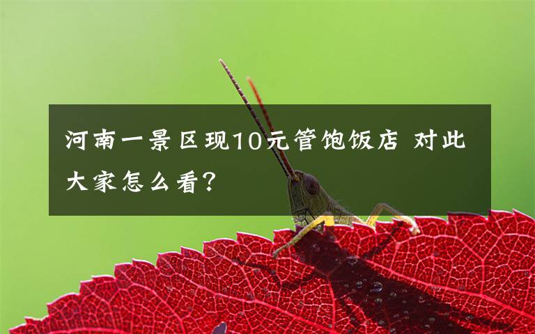 河南一景区现10元管饱饭店 对此大家怎么看？