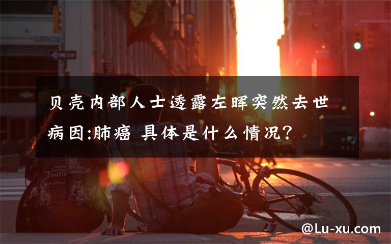 贝壳内部人士透露左晖突然去世病因:肺癌 具体是什么情况？