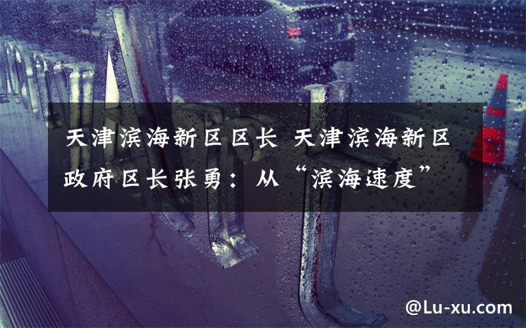 天津滨海新区区长 天津滨海新区政府区长张勇：从“滨海速度”向“滨海效益”转型