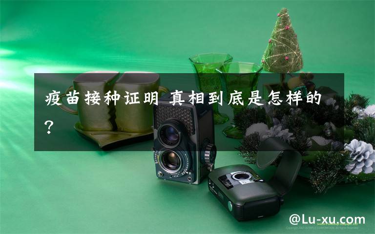 疫苗接种证明 真相到底是怎样的？