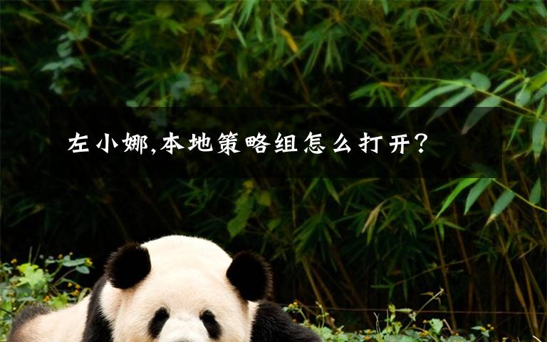左小娜,本地策略组怎么打开？