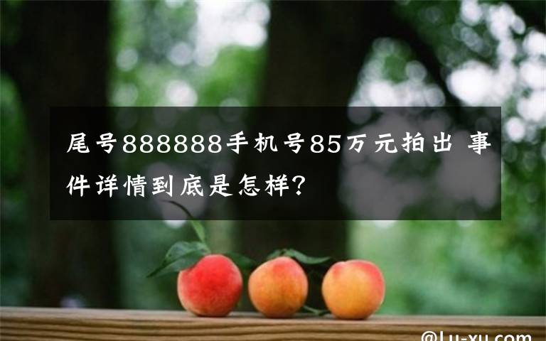 尾号888888手机号85万元拍出 事件详情到底是怎样？