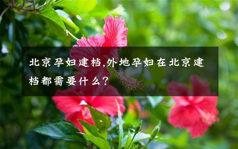 北京孕妇建档,外地孕妇在北京建档都需要什么？