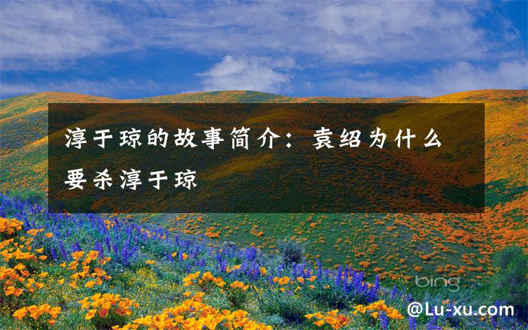 淳于琼的故事简介：袁绍为什么要杀淳于琼