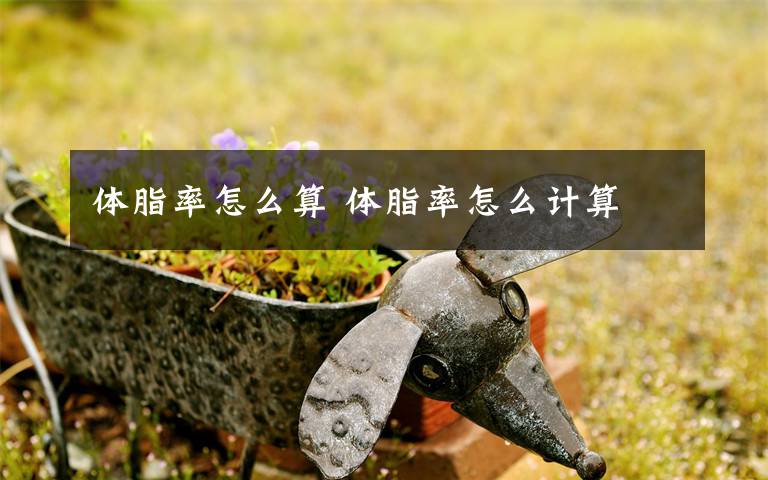 体脂率怎么算 体脂率怎么计算