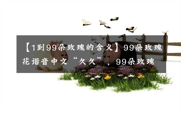 【1到99朵玫瑰的含义】99朵玫瑰花谐音中文“久久”，99朵玫瑰代表什么