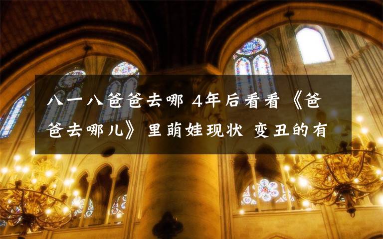 八一八爸爸去哪 4年后看看《爸爸去哪儿》里萌娃现状 变丑的有几个