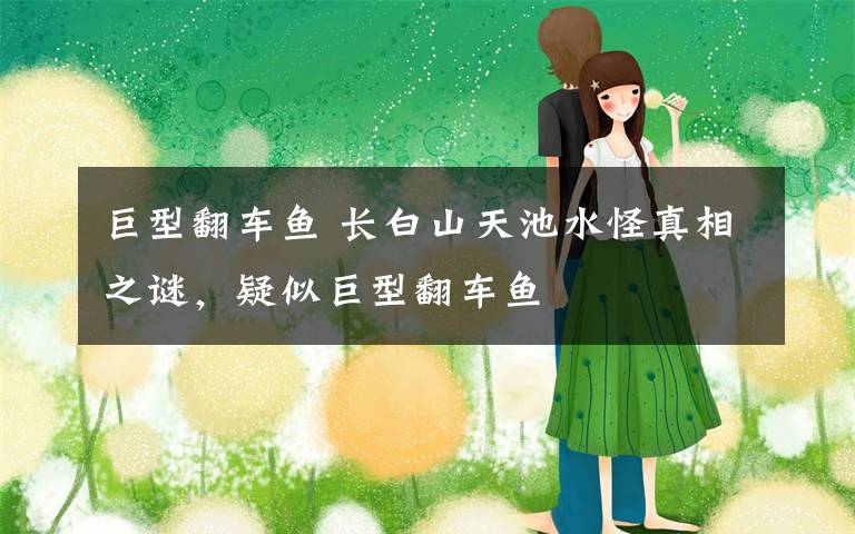 巨型翻车鱼 长白山天池水怪真相之谜，疑似巨型翻车鱼