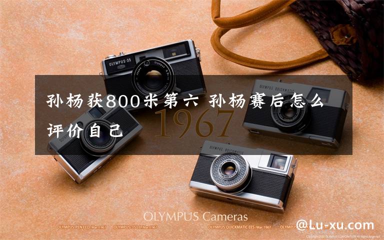 孙杨获800米第六 孙杨赛后怎么评价自己