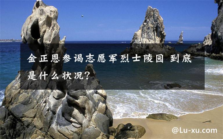 金正恩参谒志愿军烈士陵园 到底是什么状况？