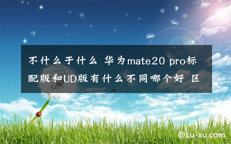 不什么于什么 华为mate20 pro标配版和UD版有什么不同哪个好 区别介绍