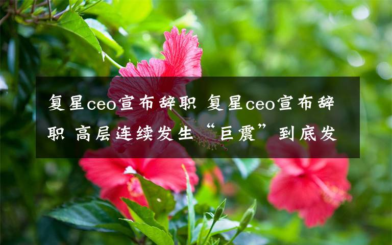 复星ceo宣布辞职 复星ceo宣布辞职 高层连续发生“巨震”到底发生了什么？