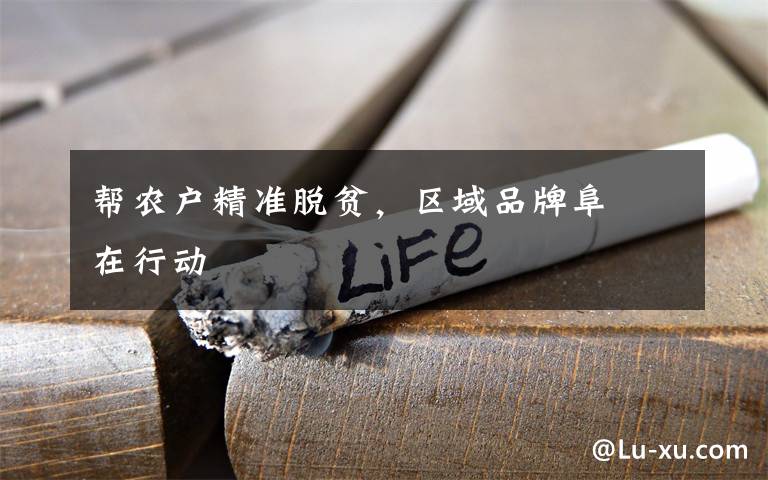 帮农户精准脱贫，区域品牌阜禮在行动