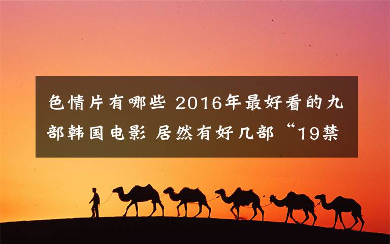 色情片有哪些 2016年最好看的九部韩国电影 居然有好几部“19禁”！