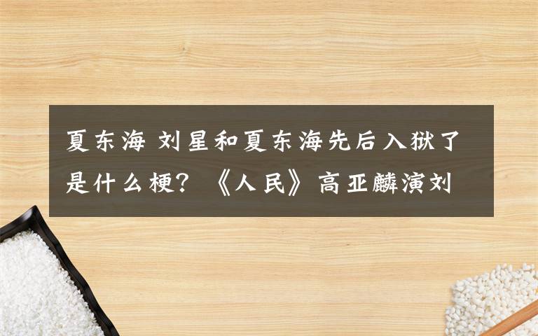 夏东海 刘星和夏东海先后入狱了是什么梗？《人民》高亚麟演刘新建入狱