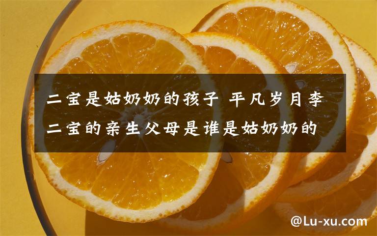 二宝是姑奶奶的孩子 平凡岁月李二宝的亲生父母是谁是姑奶奶的私生子吗？ 附分集剧情介绍