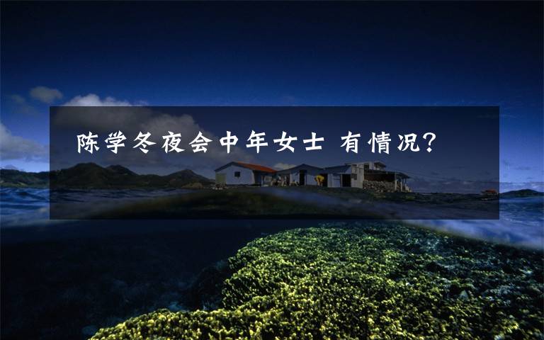  陈学冬夜会中年女士 有情况？