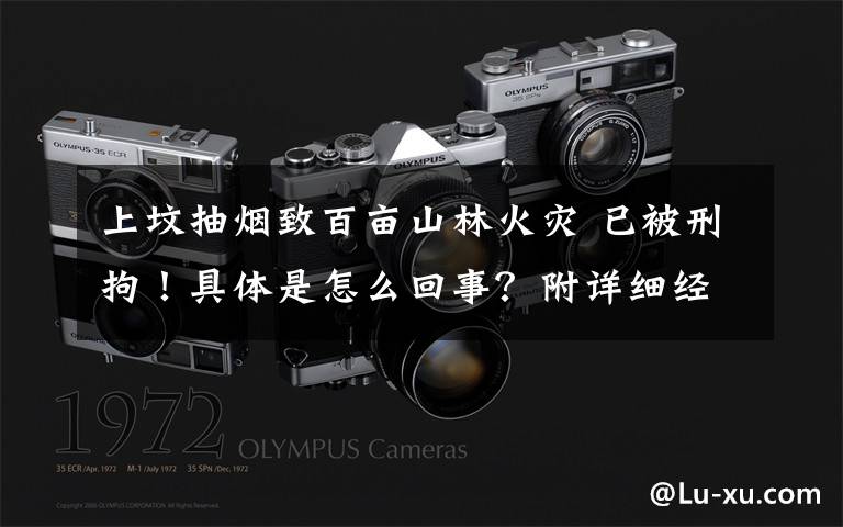 上坟抽烟致百亩山林火灾 已被刑拘！具体是怎么回事？附详细经过！