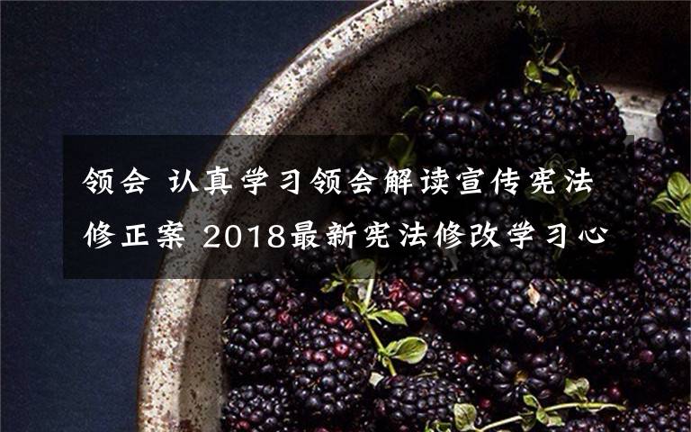 领会 认真学习领会解读宣传宪法修正案 2018最新宪法修改学习心得体会