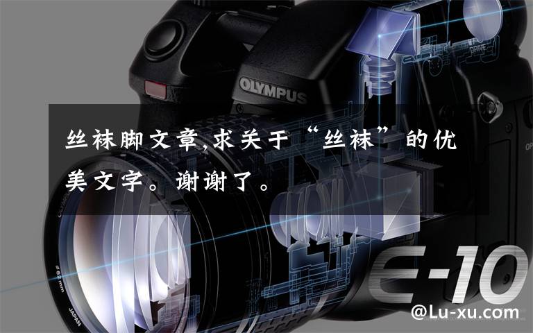 丝袜脚文章,求关于“丝袜”的优美文字。谢谢了。