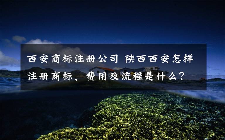 西安商标注册公司 陕西西安怎样注册商标，费用及流程是什么？