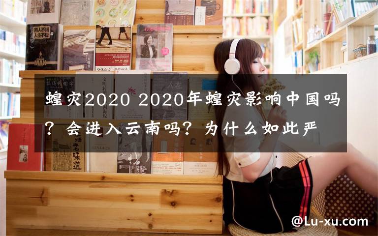 蝗灾2020 2020年蝗灾影响中国吗？会进入云南吗？为什么如此严重