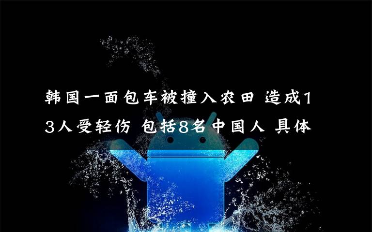 韩国一面包车被撞入农田 造成13人受轻伤 包括8名中国人 具体是啥情况?